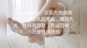 Stripchat站，巨乳尤物美御姐，一对豪乳超柔软，震动乳夹，丝袜高跟鞋，齐逼短裤，小尺度性感诱惑