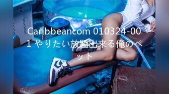 Caribbeancom 010324-001 やりたい放題出来る俺のペット