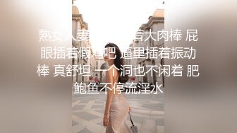 熟女人妻 嘴里吃着大肉棒 屁眼插着假鸡吧 逼里插着振动棒 真舒坦 一个洞也不闲着 肥鲍鱼不停流淫水