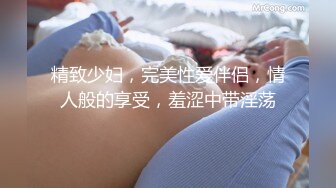 精致少妇，完美性爱伴侣，情人般的享受，羞涩中带淫荡