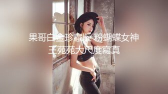 果哥白金珍藏版 粉蝴蝶女神王苑苑大尺度寫真