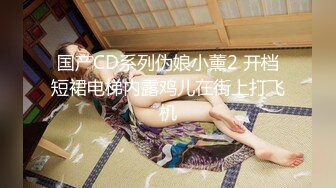 国产CD系列伪娘小薰2 开档短裙电梯内露鸡儿在街上打飞机