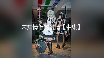 未知情侣的爱情【中集】