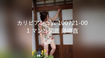 カリビアンコム 100721-001 マンコ図鑑 藤嶋直