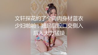 文轩探花约了个肉肉身材蓝衣少妇啪啪，翘起屁股口交侧入后入大力猛操