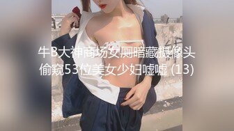 牛B大神商场女厕暗藏摄像头偷窥53位美女少妇嘘嘘 (13)