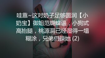 哇靠~这对奶子足够圆润【小奶宝】御姐范蝴蝶逼，小狗式高抬腿，桃源洞已经湿得一塌糊涂，兄弟们操她 (2)