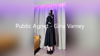 Public Agnet - Gina Varney