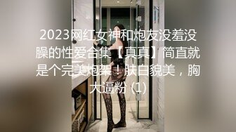 2023网红女神和炮友没羞没臊的性爱合集【真真】简直就是个完美炮架！肤白貌美，胸大逼粉 (1)