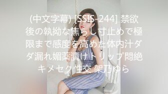 (中文字幕) [SSIS-244] 禁欲後の執拗な焦らし寸止めで極限まで感度を高めた体内汁ダダ漏れ媚薬漬けトリップ悶絶キメセク性交 架乃ゆら